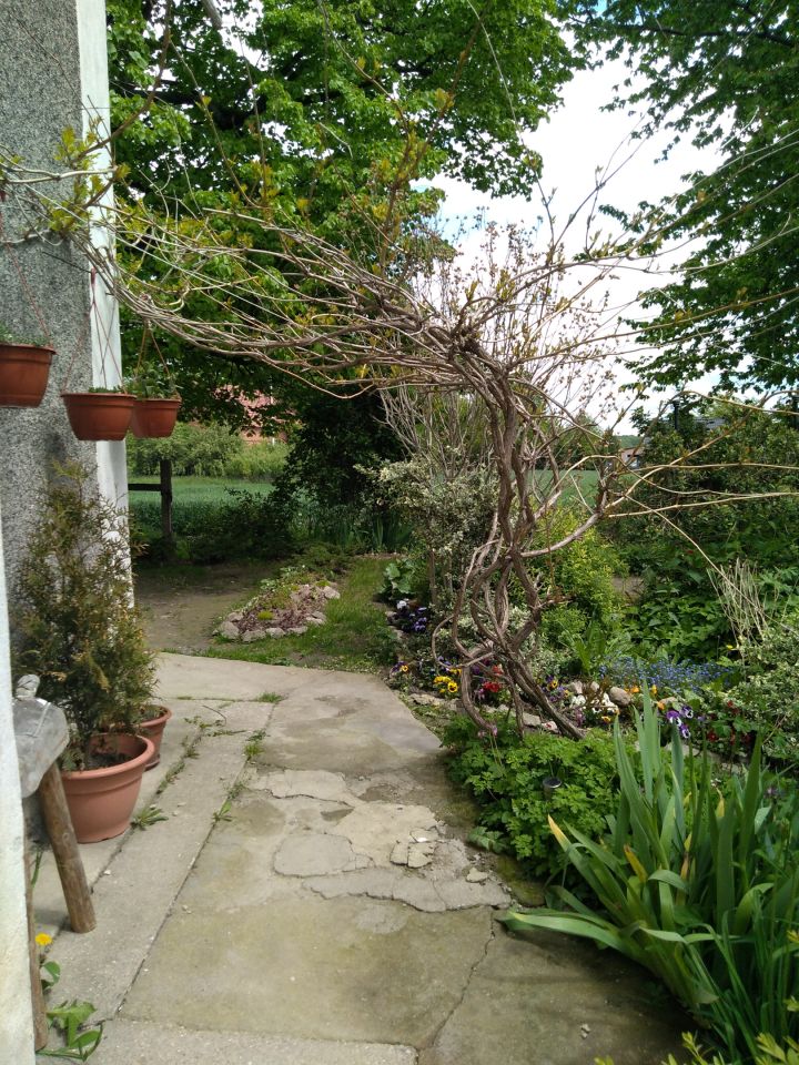 dom wolnostojący, 5 pokoi Janówka. Zdjęcie 20