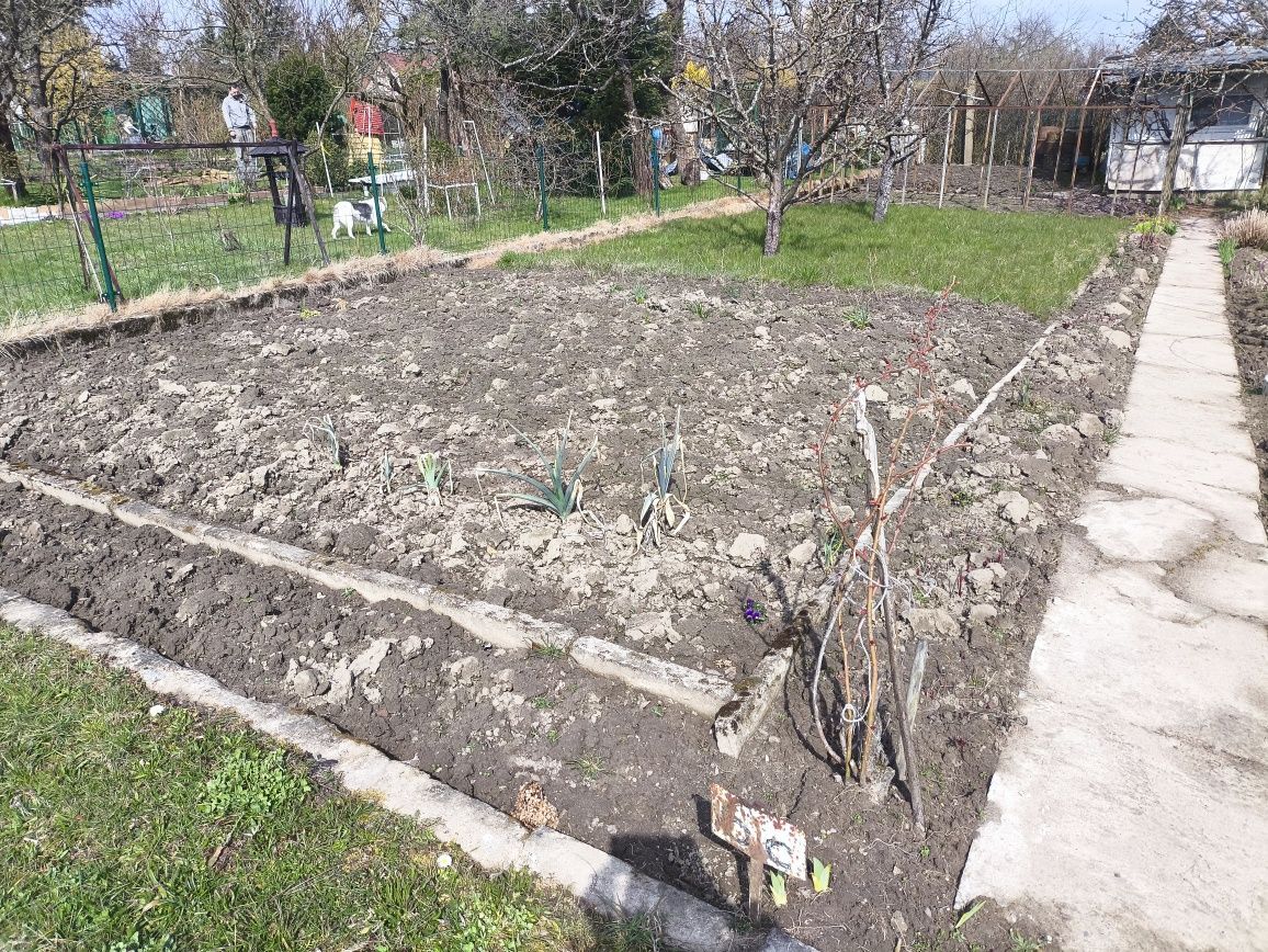 Działka rod Elbląg Bielany. Zdjęcie 6