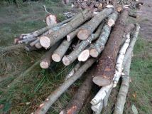 Działka rolna Biały Zdrój. Zdjęcie 3