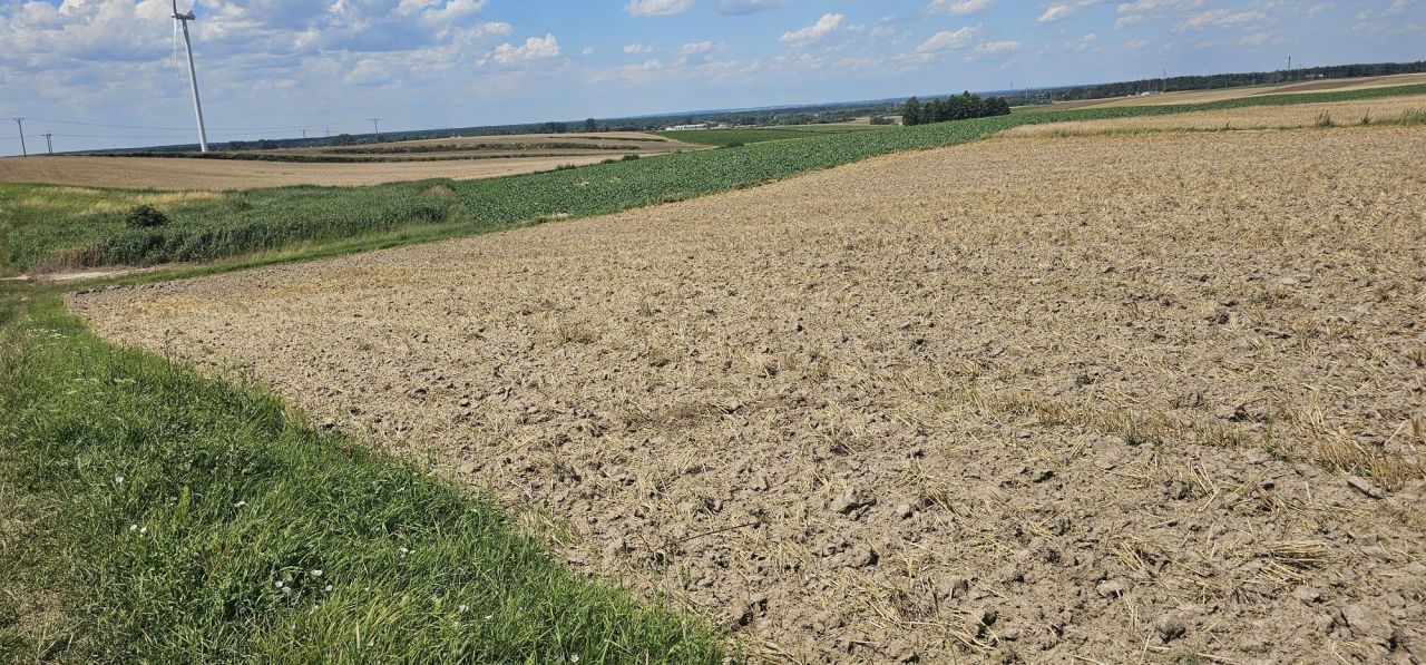 Działka rolna Tyszowce. Zdjęcie 7