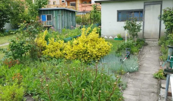 Działka rod Wrocław Śródmieście