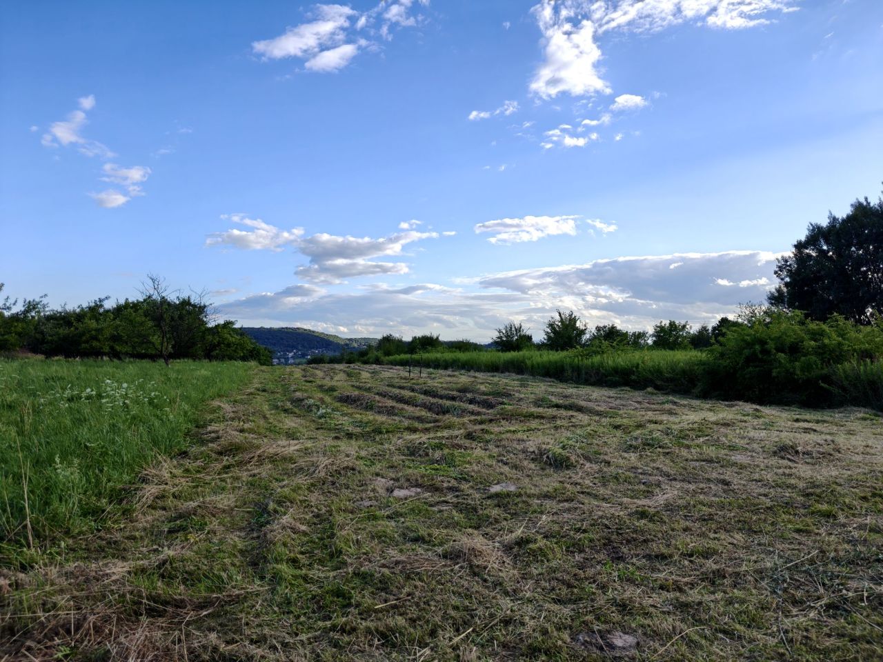 Działka rolna Kraków Mydlniki, ul. mjr. Łupaszki. Zdjęcie 2