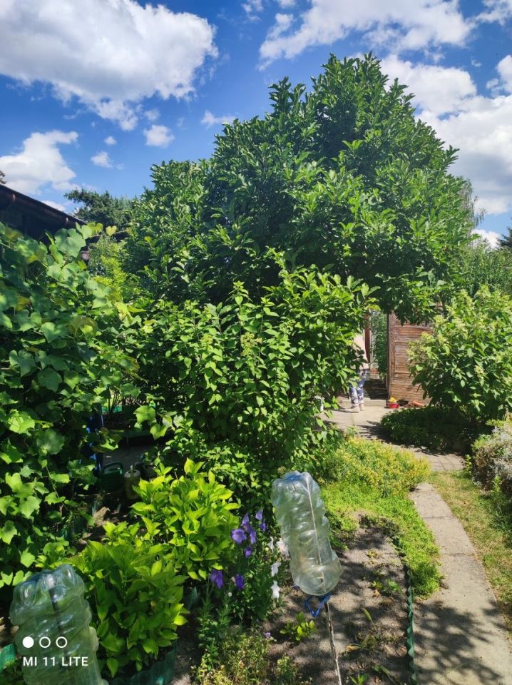 Działka rod Warszawa Paluch. Zdjęcie 7