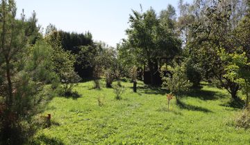 Działka budowlana Miedziana Góra