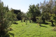 Działka budowlana Miedziana Góra