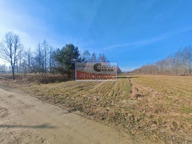 Działka budowlana Grabina. Zdjęcie 9