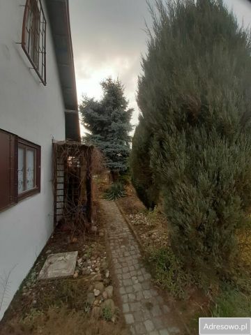 Działka rod Grzybiany. Zdjęcie 1