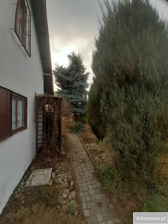 Działka rod Grzybiany. Zdjęcie 1