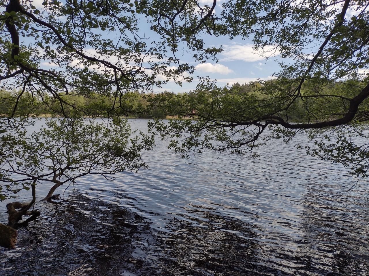 Działka rekreacyjna Jeleń. Zdjęcie 8