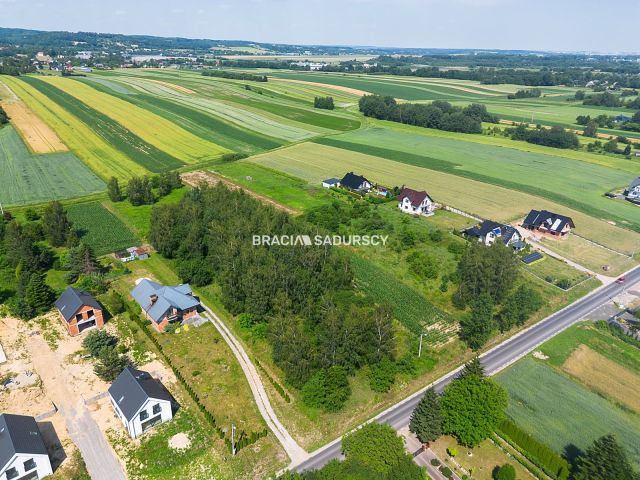 Działka inwestycyjna Cholerzyn. Zdjęcie 10
