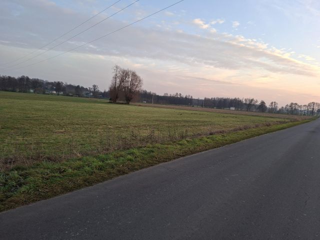 Działka rolna Mikulice. Zdjęcie 1