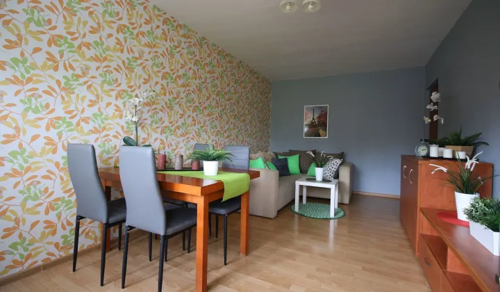 Mieszkanie 2-pokojowe Łódź Teofilów, ul. Traktorowa