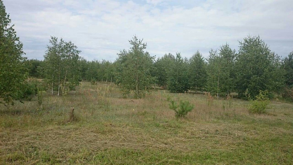 Działka budowlana Żelechów. Zdjęcie 3