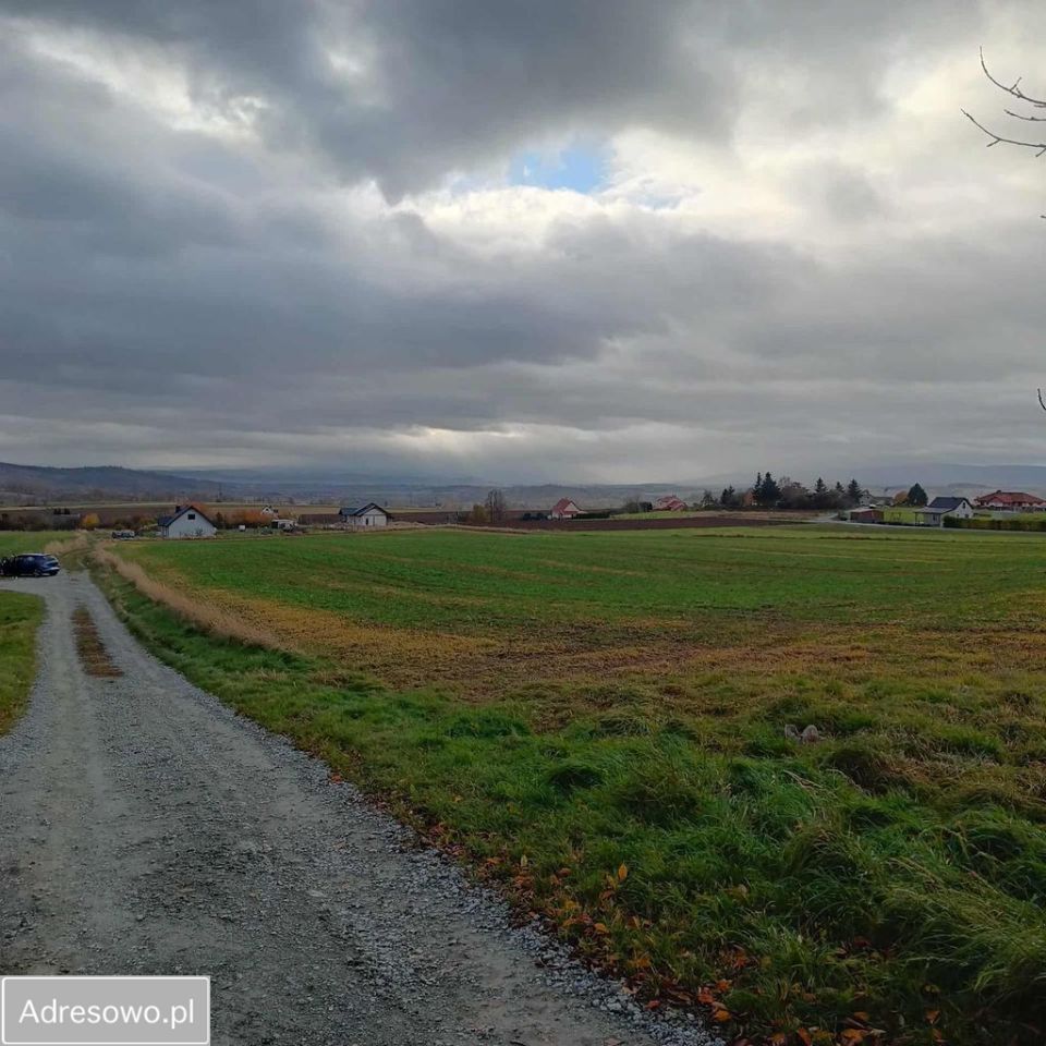 Działka budowlana Nowa Ruda, ul. Wrzosowa. Zdjęcie 3