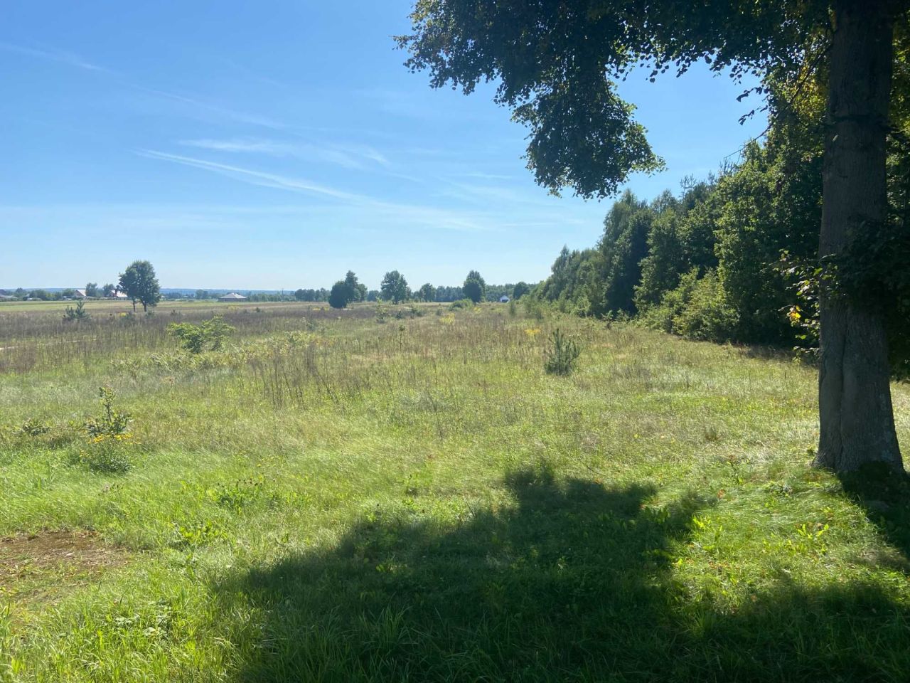 Działka inwestycyjna Kozenin