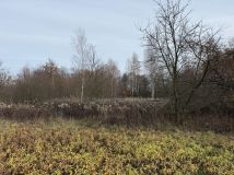 Działka rolno-budowlana Przeginia Narodowa, ul. Za Tamą. Zdjęcie 2