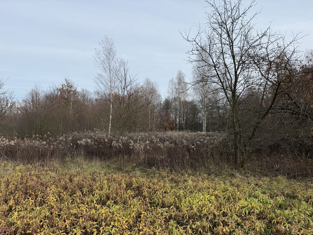 Działka rolno-budowlana Przeginia Narodowa, ul. Za Tamą. Zdjęcie 3