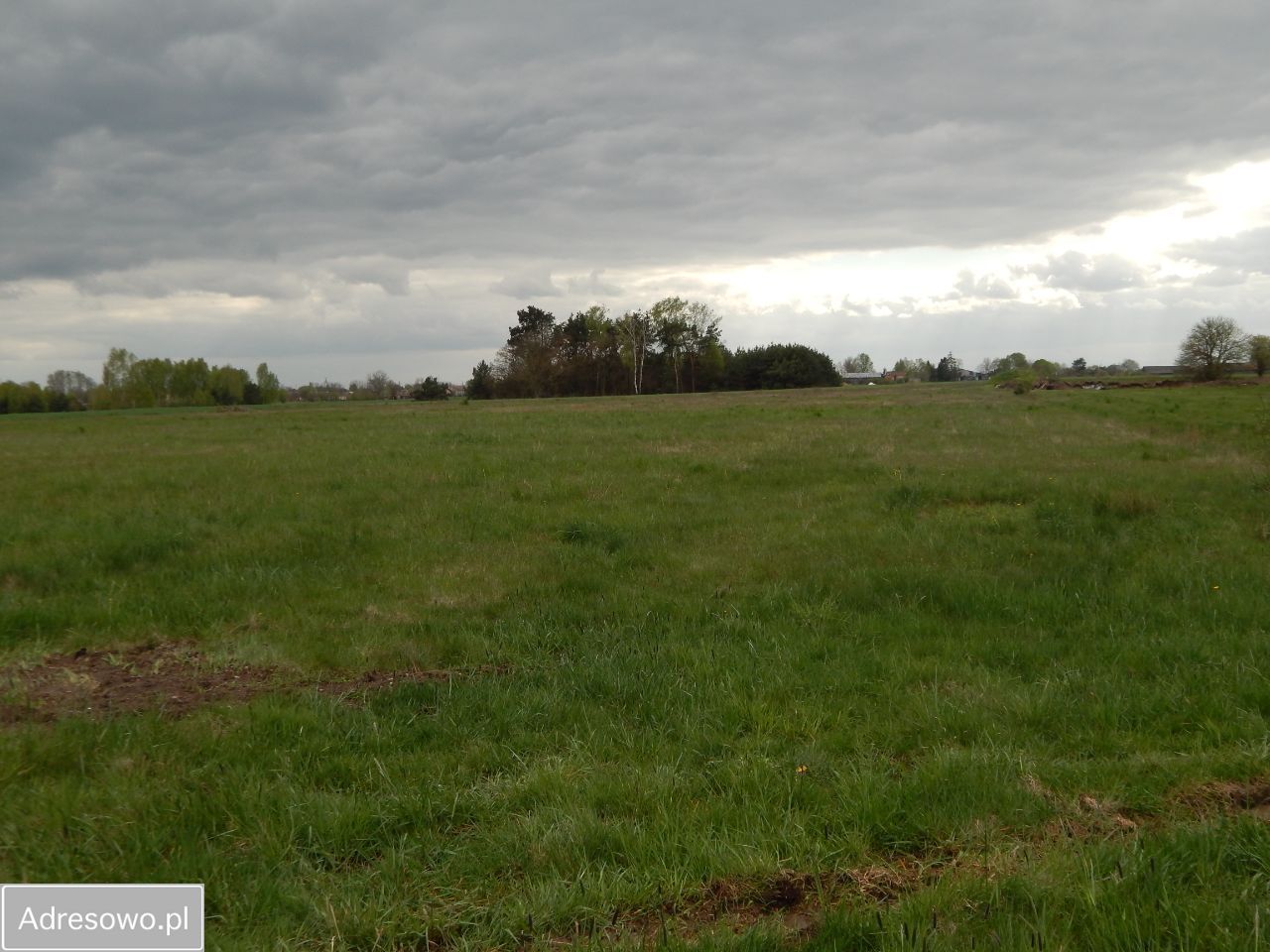 Działka Guty. Zdjęcie 9