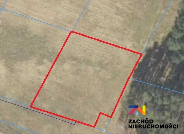 Działka budowlana Zabór. Zdjęcie 2