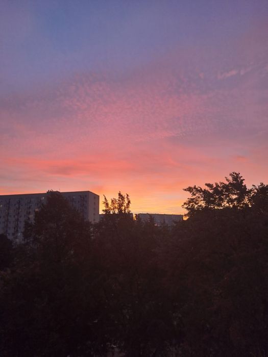 Mieszkanie 3-pokojowe Gdańsk Żabianka, ul. Orłowska. Zdjęcie 18