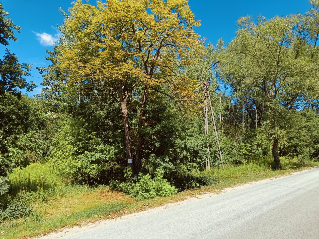 Działka budowlana Chobot. Zdjęcie 5