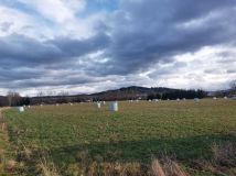 Działka budowlana Krzeszów. Zdjęcie 2