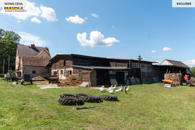 dom wolnostojący, 7 pokoi Budzieszewice. Zdjęcie 13