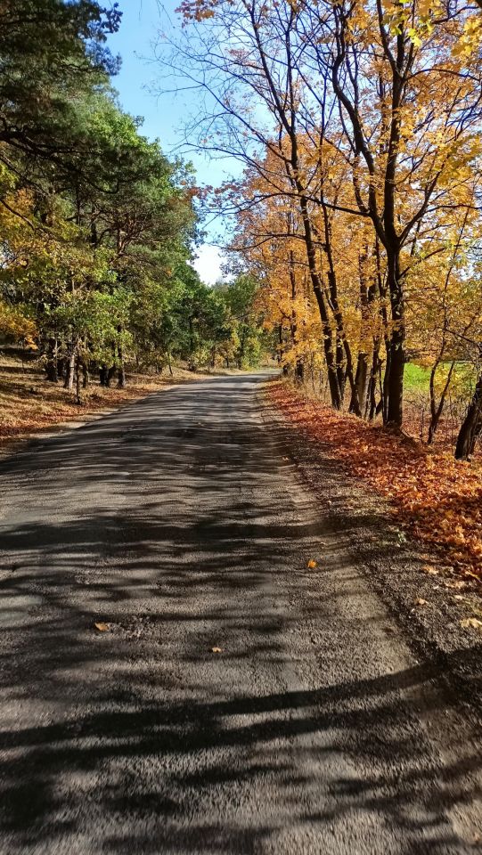 Działka budowlana Czarne Błoto. Zdjęcie 9