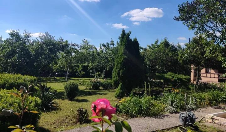 Działka rekreacyjna Sosnowiec, ul. Kombajnistów