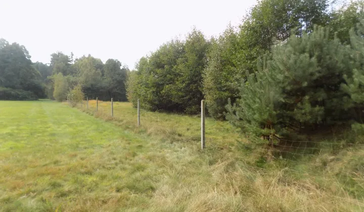 Działka siedliskowa Piękocin