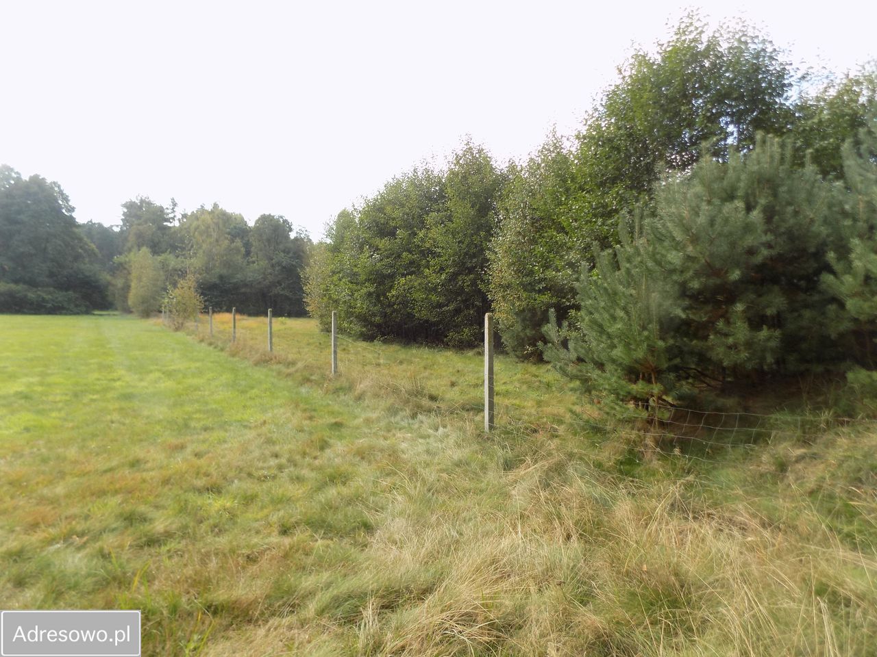 Działka siedliskowa Piękocin