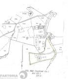 Działka leśna Piaseczno