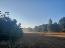 Działka budowlana Słotwiny. Zdjęcie 2