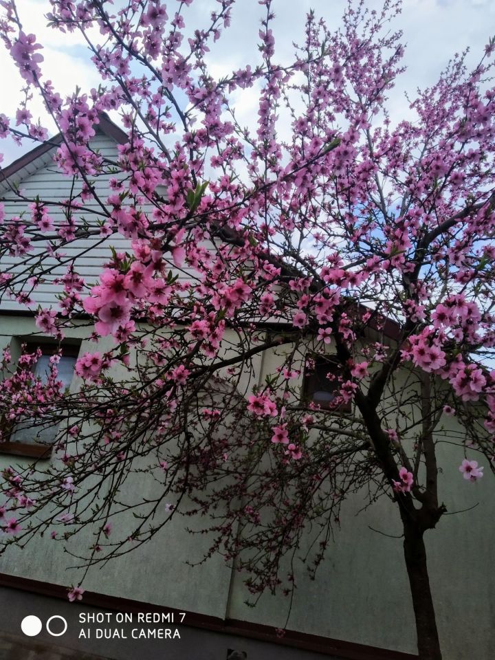 dom wolnostojący, 2 pokoje Uchańka, Uchanka. Zdjęcie 5