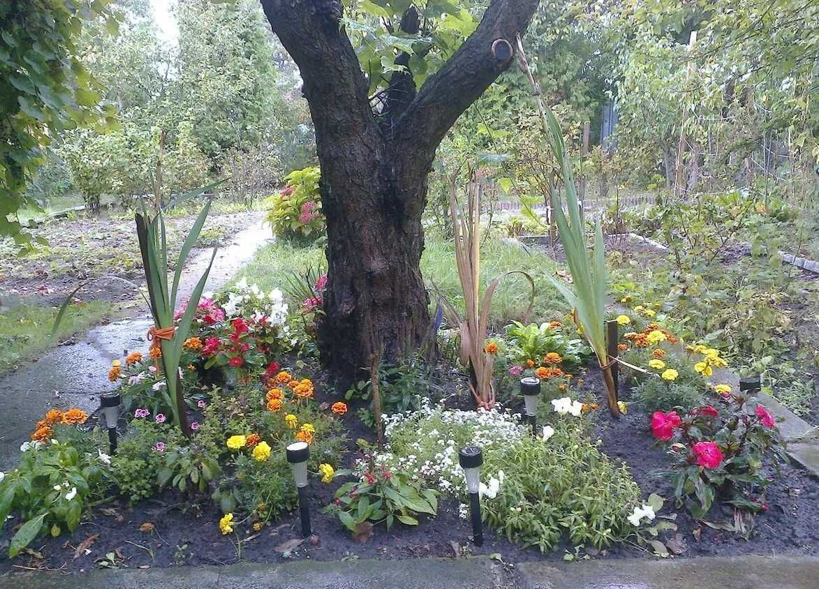 Działka rod Pruszków Malichy. Zdjęcie 6