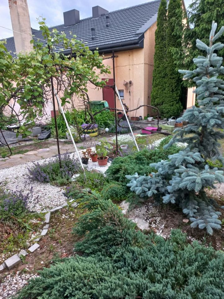 Mieszkanie 5-pokojowe Żydowo. Zdjęcie 21