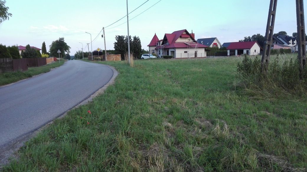 Działka rolno-budowlana Sulisławice. Zdjęcie 2