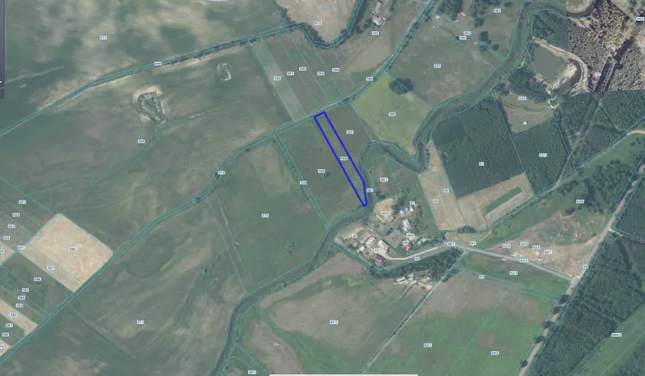 Działka leśna Szczutków