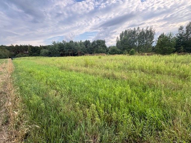 Działka rolno-budowlana Kuligów, ul. Dębinowa. Zdjęcie 12