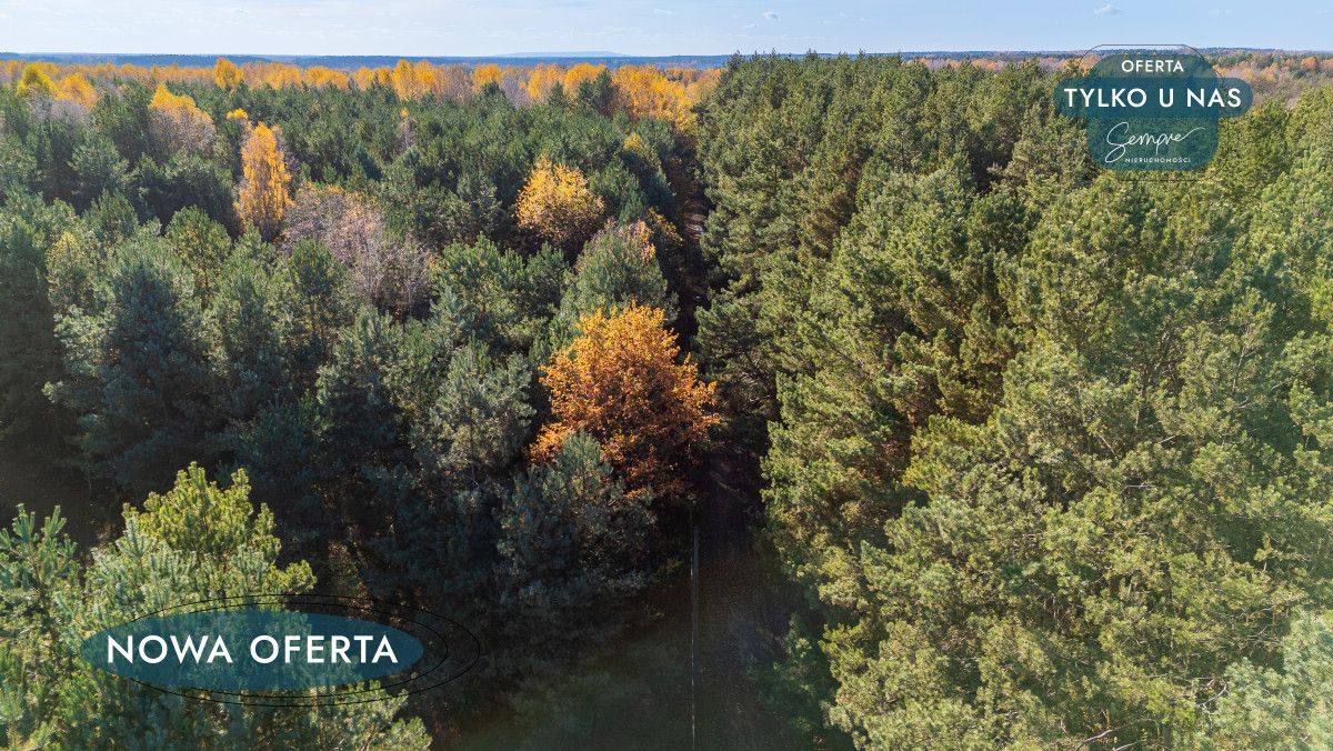 Działka budowlana Sromutka, ul. Brzozowa. Zdjęcie 10