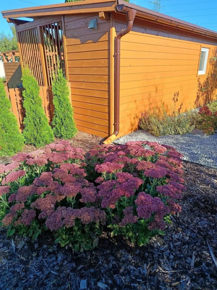 Działka rod Starogard Gdański, ul. Hermanowska. Zdjęcie 3