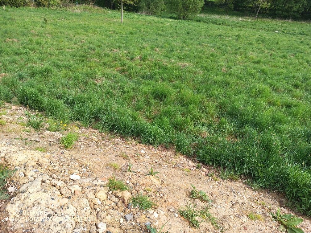 Działka budowlana Pisarzowice. Zdjęcie 5