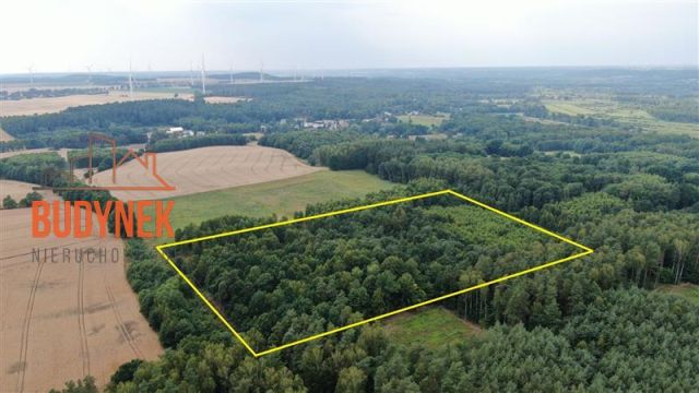 Działka rolna Lejkowo. Zdjęcie 3