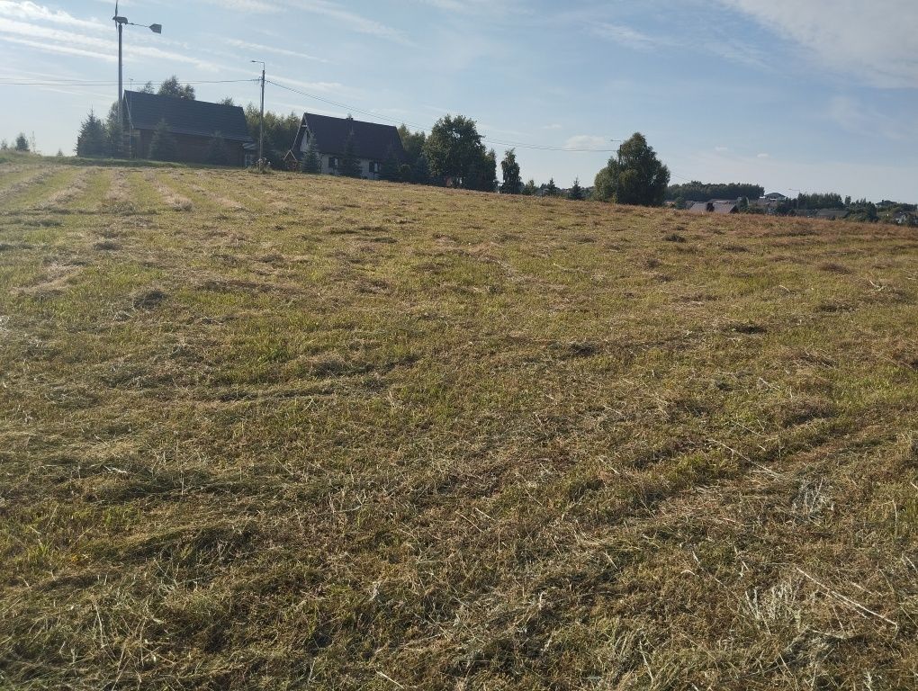 Działka rolno-budowlana Krajno Pierwsze. Zdjęcie 3