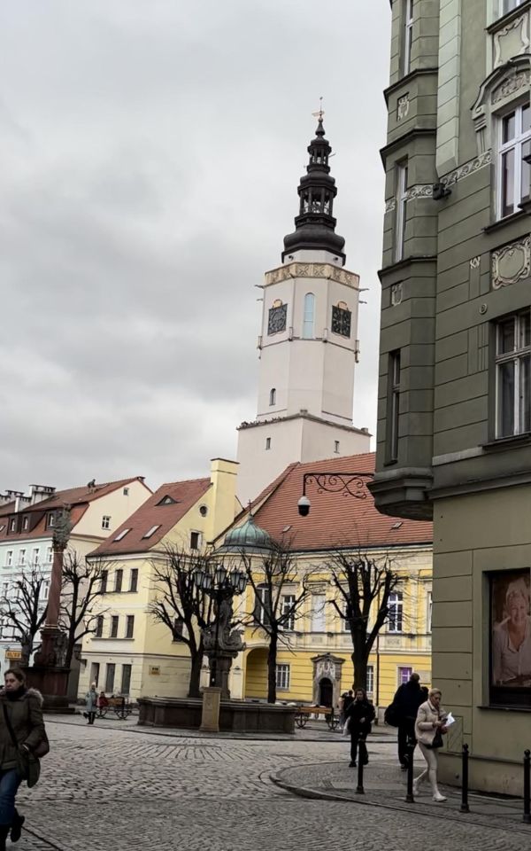 Lokal Świdnica Centrum, ul. Grodzka. Zdjęcie 6