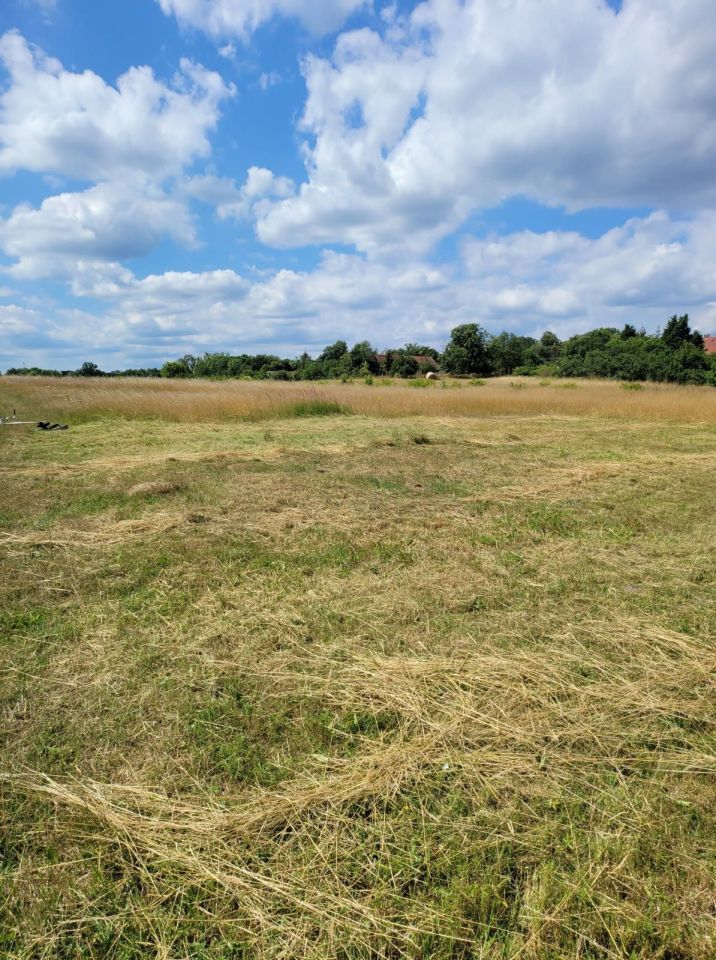 Działka Olszyniec