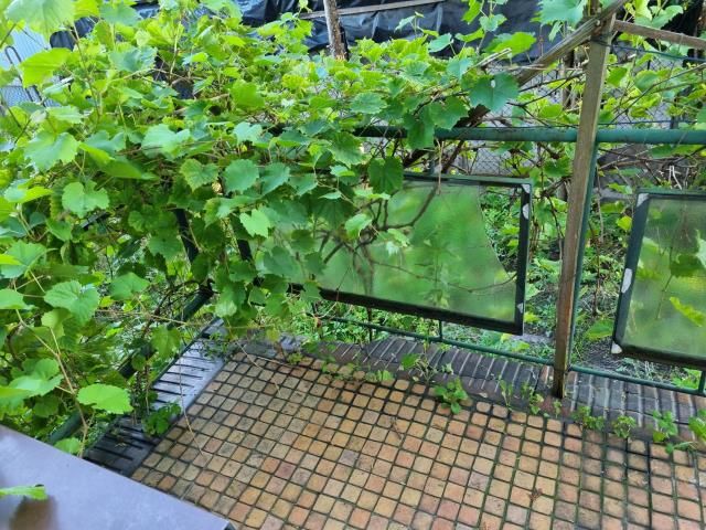 dom wolnostojący, 3 pokoje Piastów. Zdjęcie 7