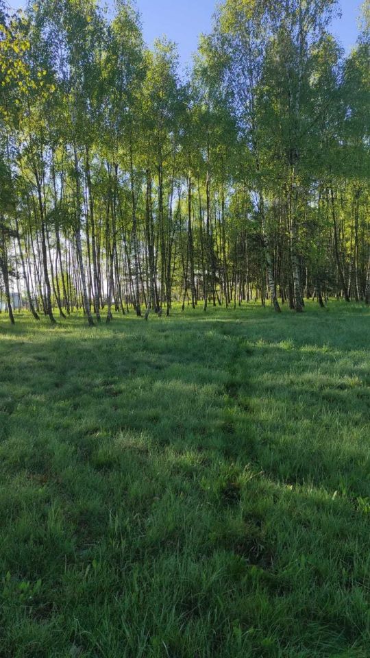 Działka budowlana Witków. Zdjęcie 5