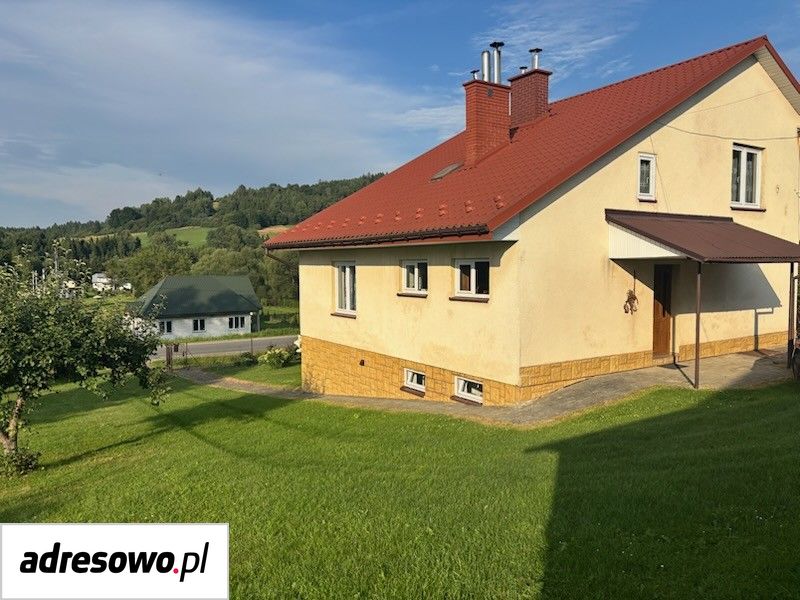 Zdjęcie 5