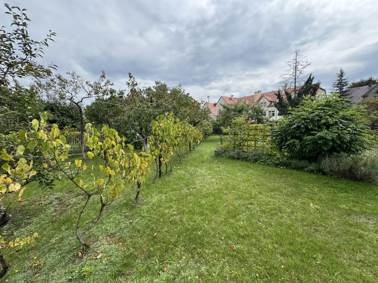 dom wolnostojący, 8 pokoi Zielona Góra Jędrzychów, ul. Kąpielowa. Zdjęcie 3